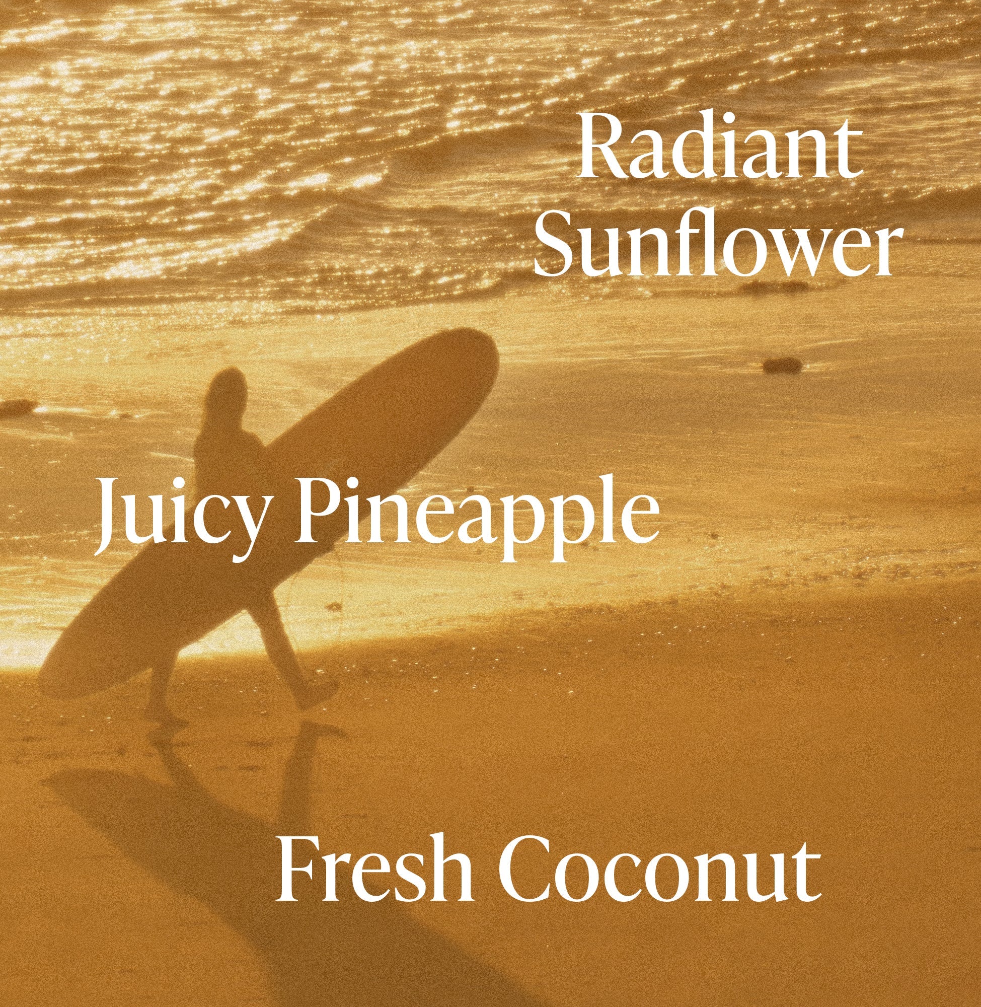 Golden Hour - Body Butter