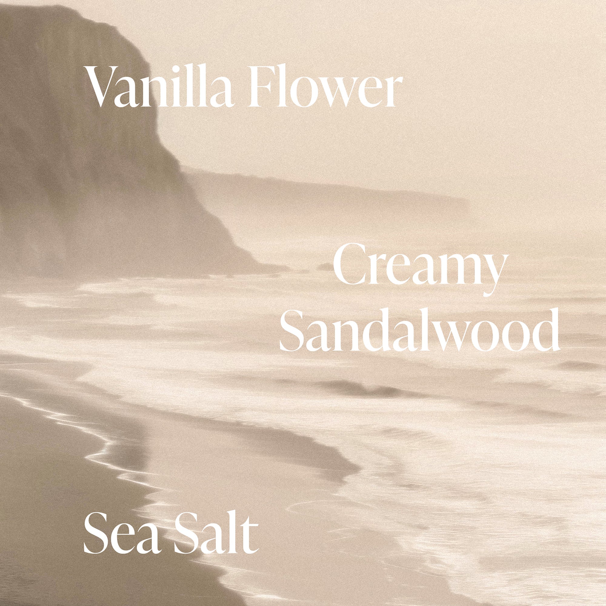 Salt Water Vanilla - Jumbo Body Oil