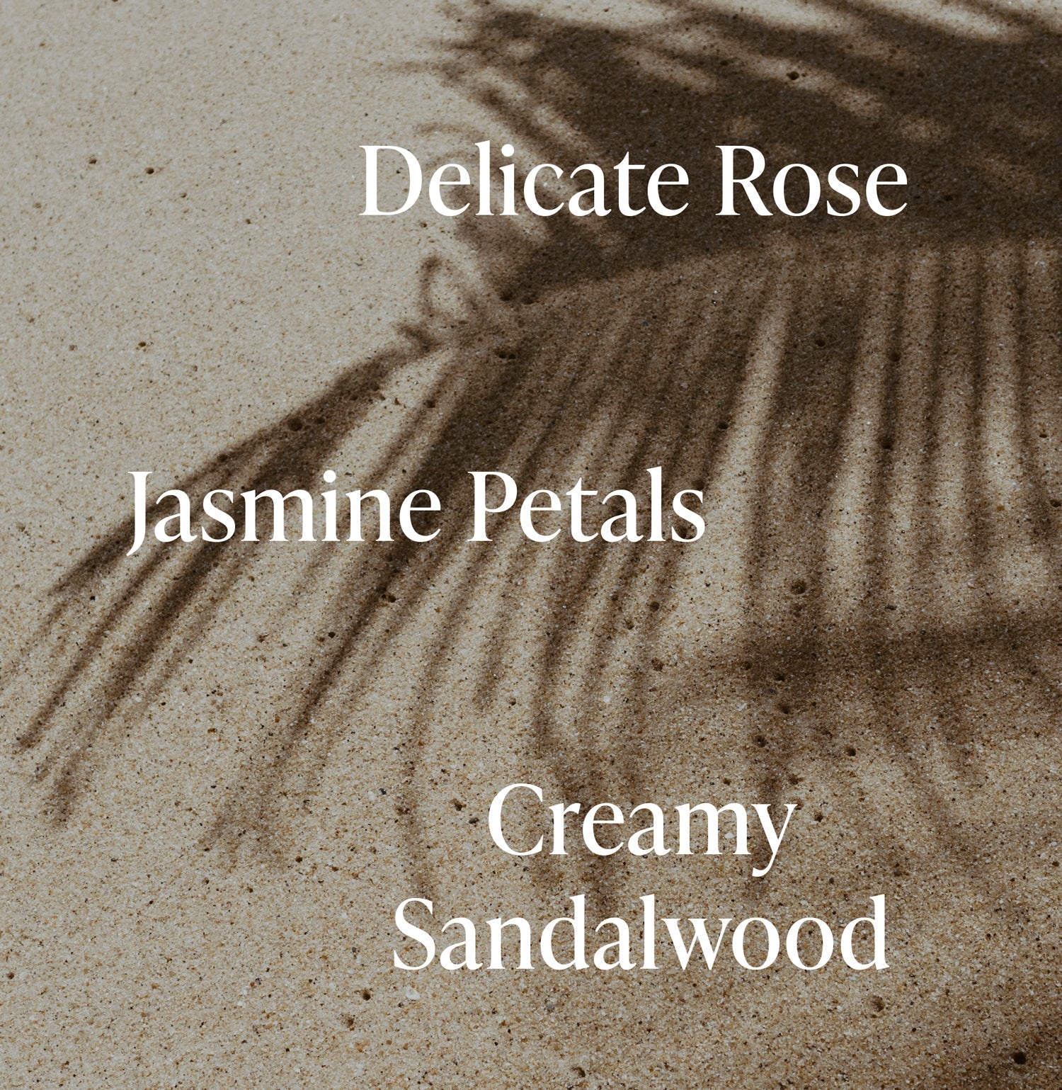 Santal Bloom - Travel Size Body Wash